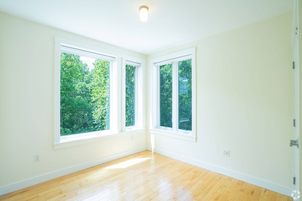 A room with a wooden floor and three windows. at 603 Concord Apartments, Massachusetts, 02138