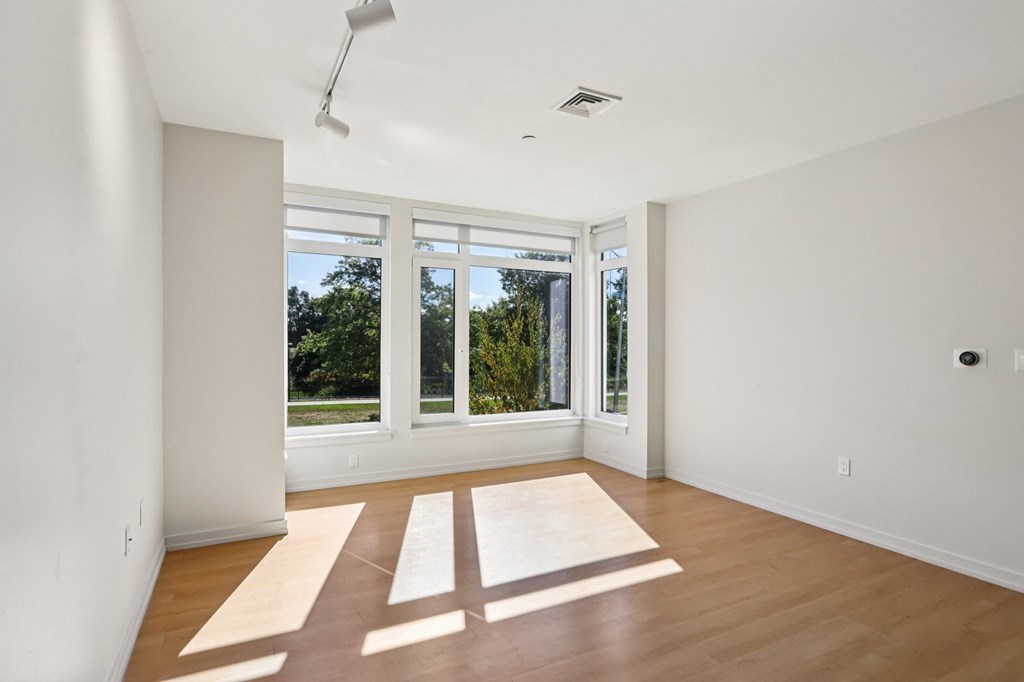Living room with Ample of Sunlight at Park77 Apartments, Cambridge
