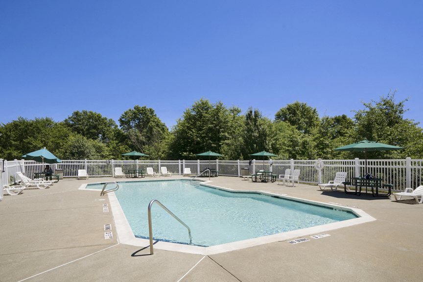 a pool with chairs and umbrellas and trees in the background