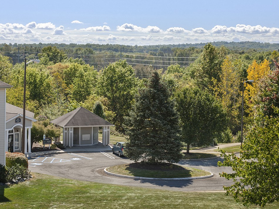 an aerial view of a house with a tree in the center of the driveway
