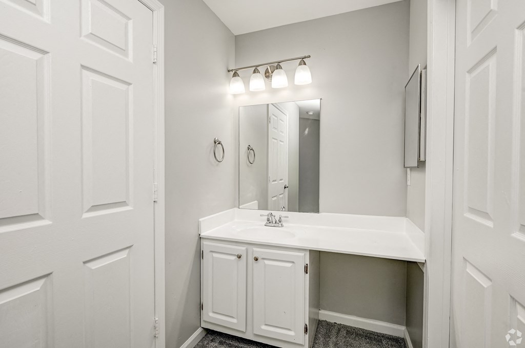 a bathroom with a sink and a mirror
