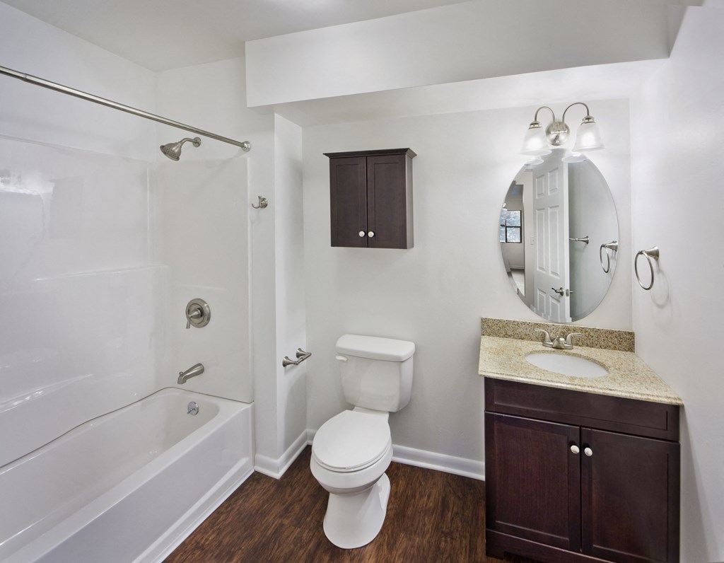 a bathroom with a shower toilet and sink and a mirror