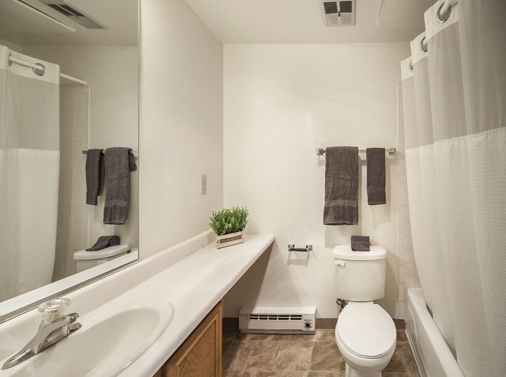 a small bathroom with a sink and a toilet