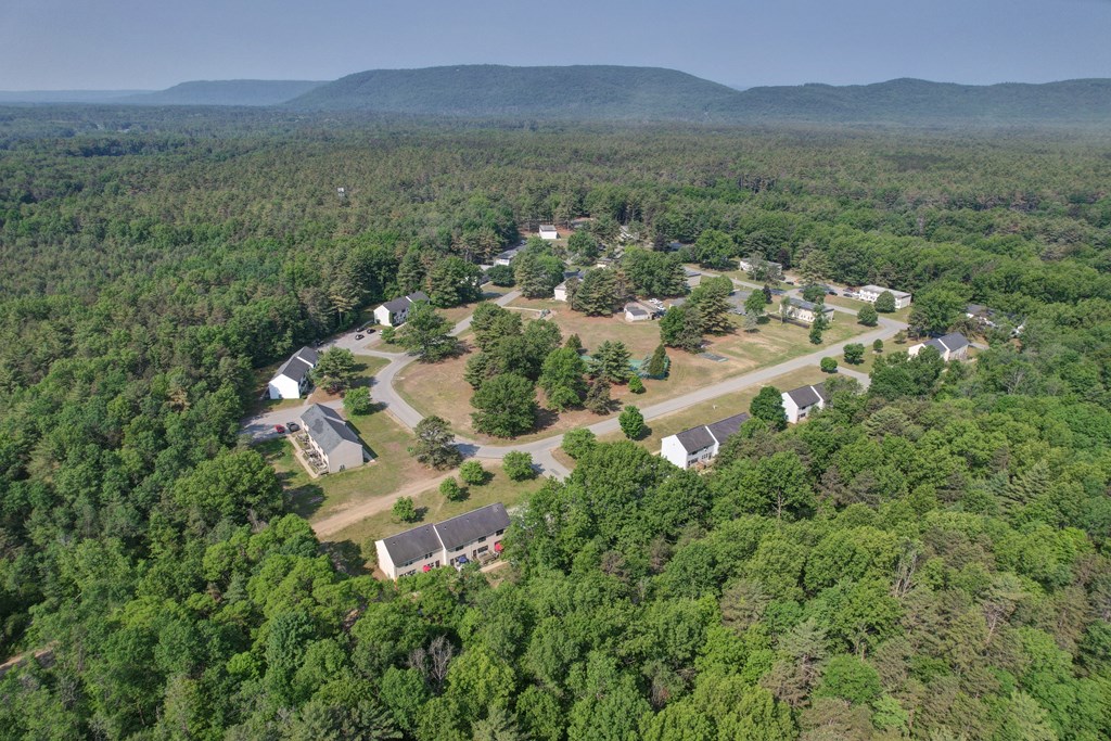 A bird's eye view of a residential area surrounded by dense green forest.