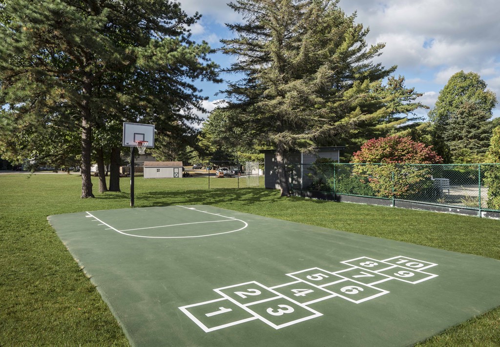 a basketball court in a park with trees