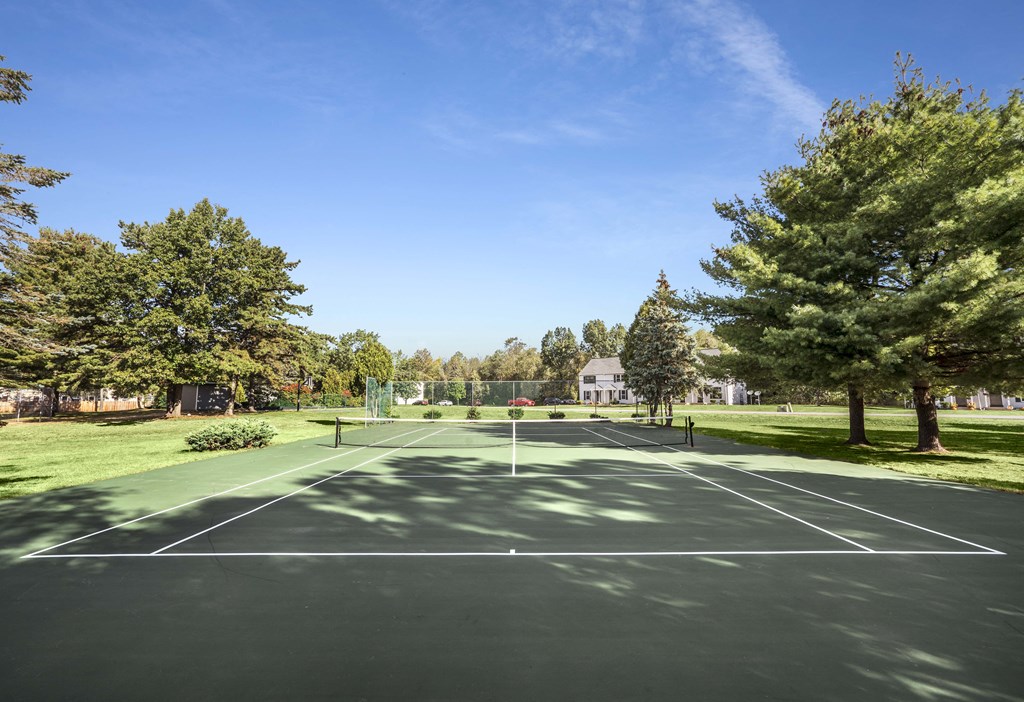 a tennis court in a park with trees