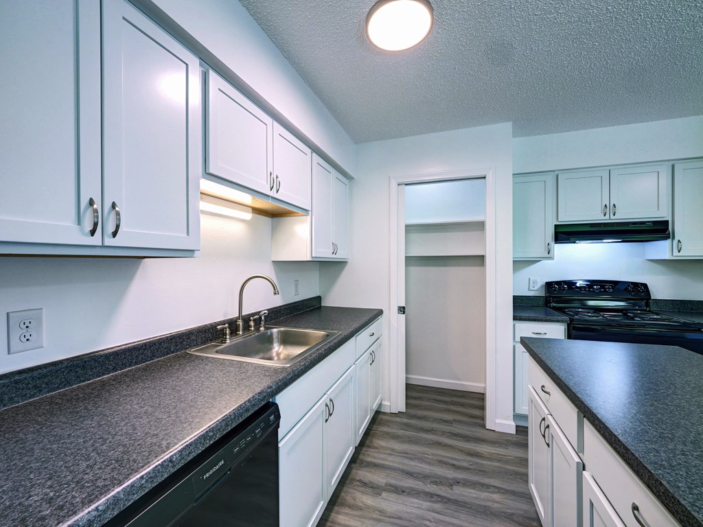 the preserve at ballantyne commons apartment kitchen with counter top and sink