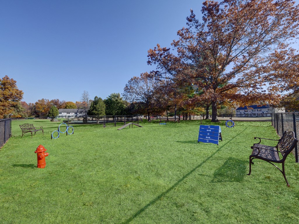 A park with a red fire hydrant and a bench.