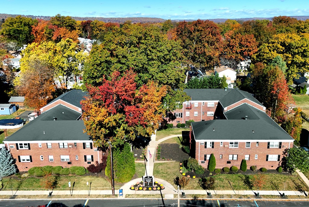 A tree with red leaves stands in front of a brick building.