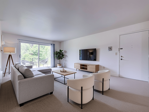 A living room with a grey couch, a coffee table, and a television.