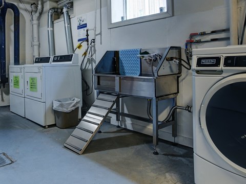 A large industrial washing machine is in the foreground of the image.