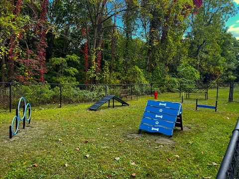 a blue bench in a park next to a skate park