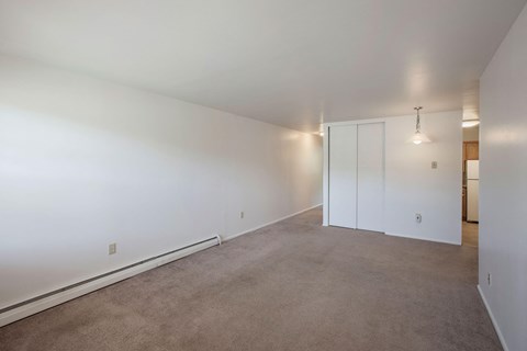 a bedroom with white walls and carpet and a closet