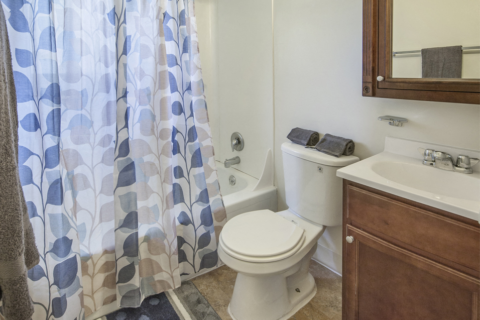 a bathroom with a shower curtain and a toilet and a sink