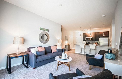 12345 Irvine Dr 1-2 Beds Apartment for Rent