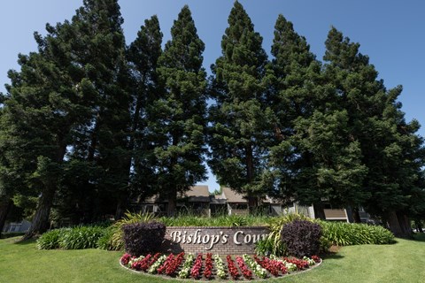 A sign that says Bishop's Court is in front of some trees.