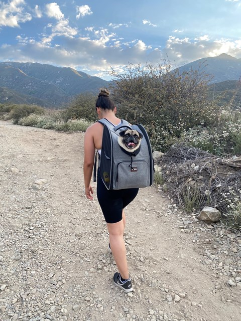 A woman with a backpack is walking on a trail.