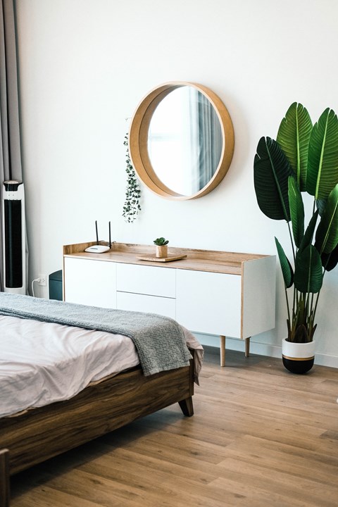 A bedroom with a bed, a dresser, a mirror, and a plant.