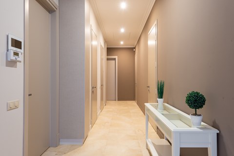 A long hallway with a white console table and a plant on it.