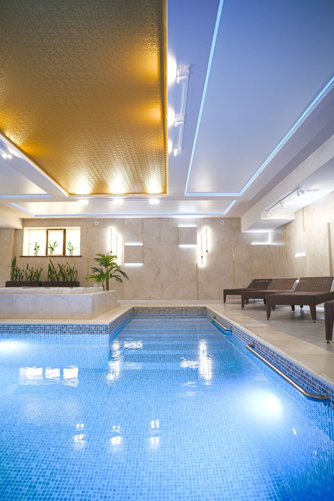 A swimming pool in a room with a bench and plants.