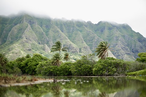 A serene landscape with a mountain range, palm trees, and a calm lake.