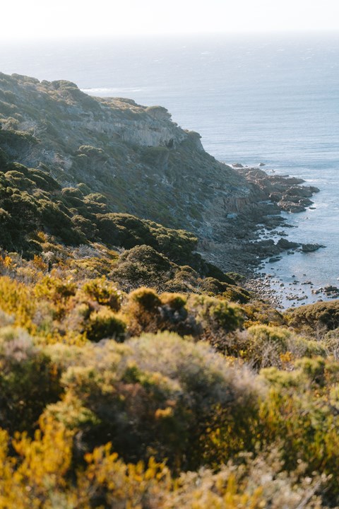 A coastal landscape with a cliff and ocean.