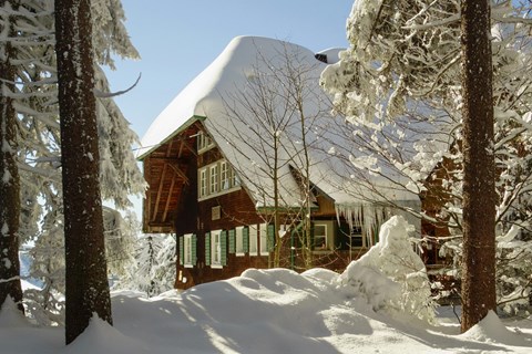 A house with a snow-covered roof and trees around it.