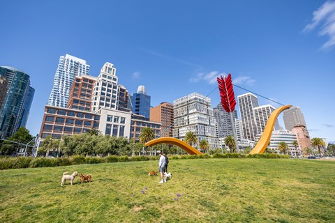 A person is walking in a park with a dog.