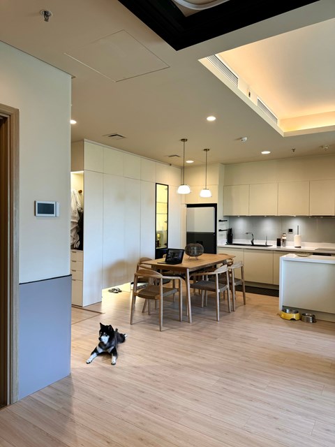 A dog is sitting on the floor in a kitchen.