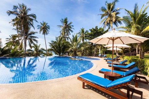 A pool surrounded by palm trees with sun loungers and umbrellas.