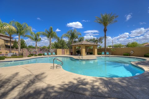 A pool surrounded by palm trees and a small gazebo.