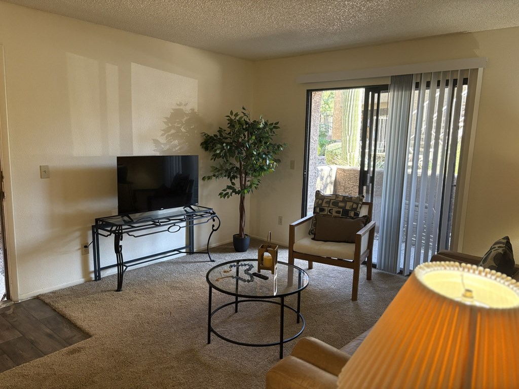 A living room with a television, chair, and plant.