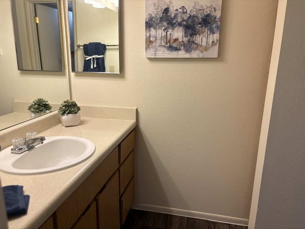 A bathroom with a sink and a mirror.