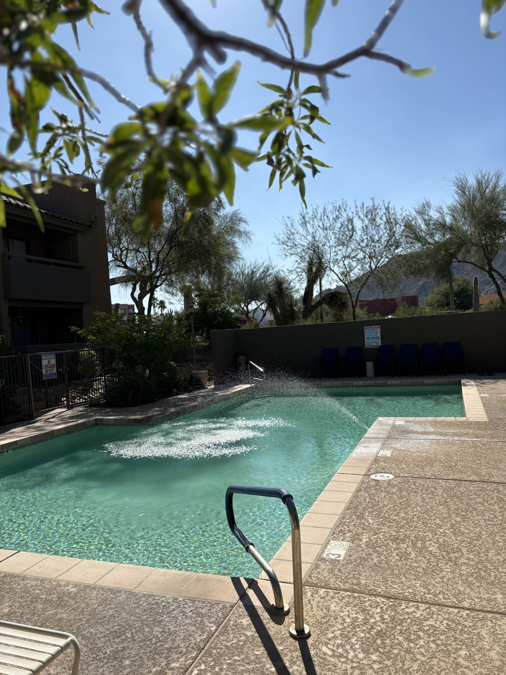 A pool surrounded by trees and buildings.