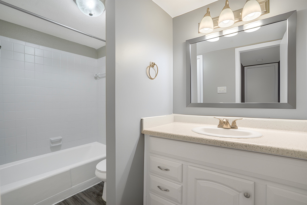 a bathroom with a sink and a mirror and a tub