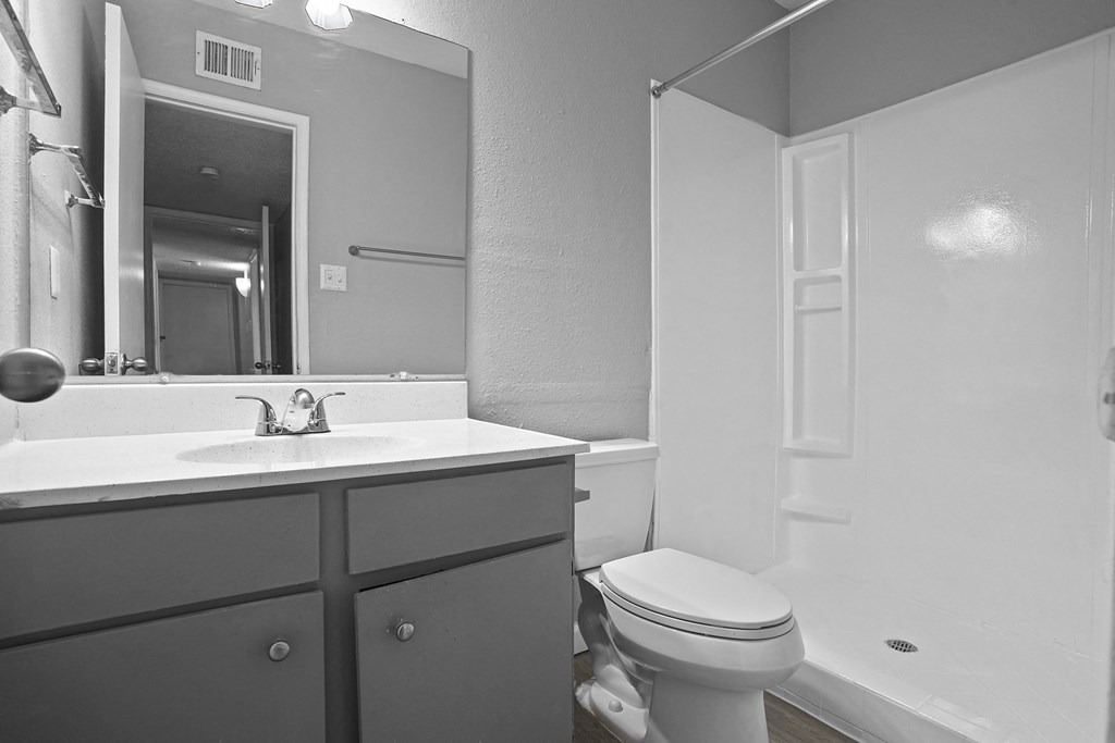 a bathroom with a sink toilet and a mirror