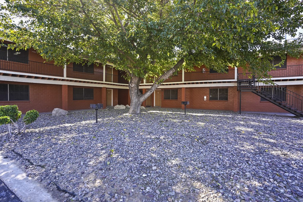 a courtyard with a tree in front of a building