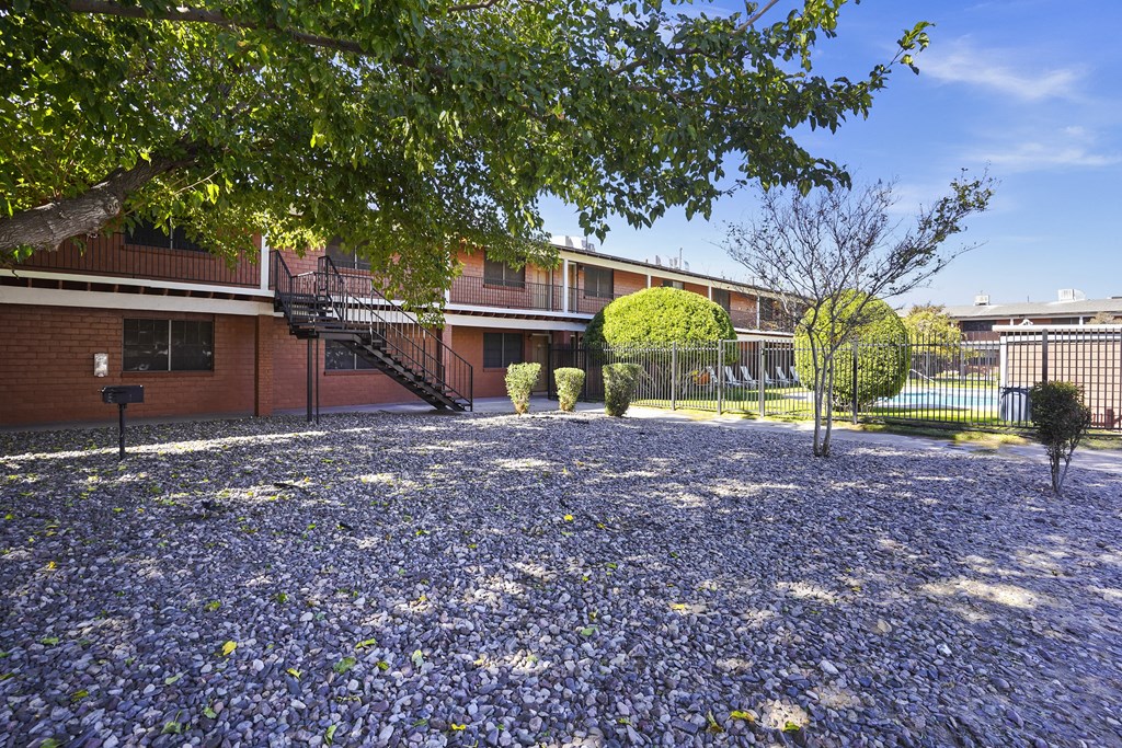the courtyard of a school with purple flowers on the ground