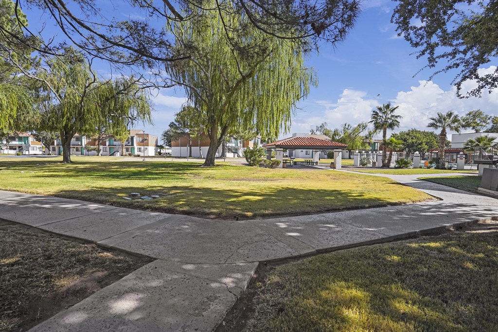 a park with grass and trees and a sidewalk