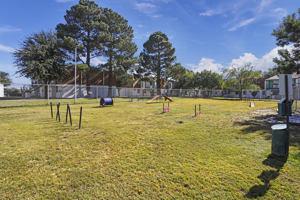a dog park with agility equipment in a grass field