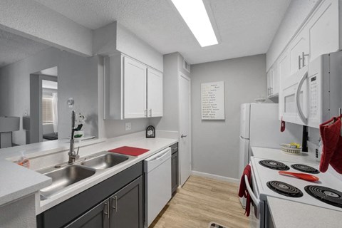 a kitchen with a sink and a stove and a refrigerator