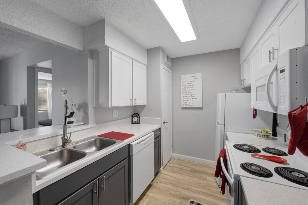 a kitchen with a sink and a stove and a refrigerator