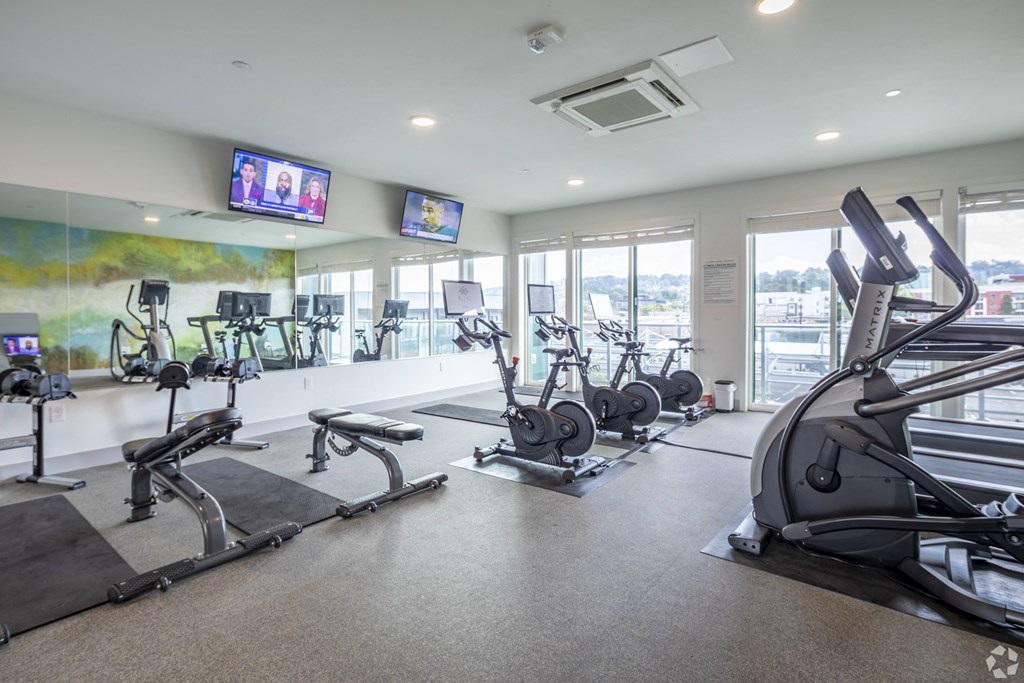 a gym with various exercise equipment and window views of the city