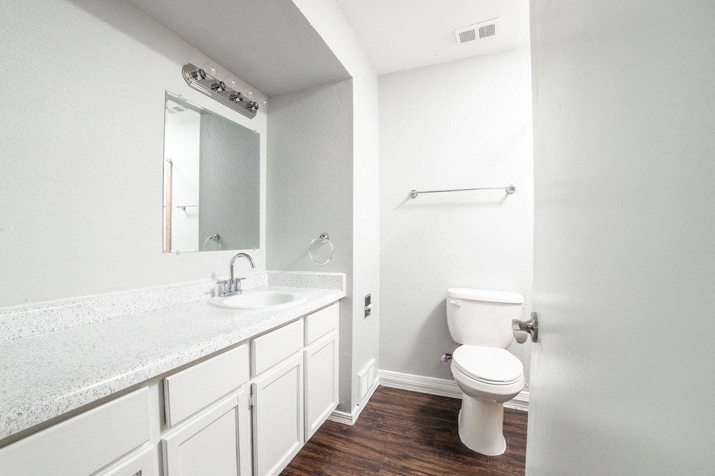 a bathroom with a toilet and a sink and a mirror