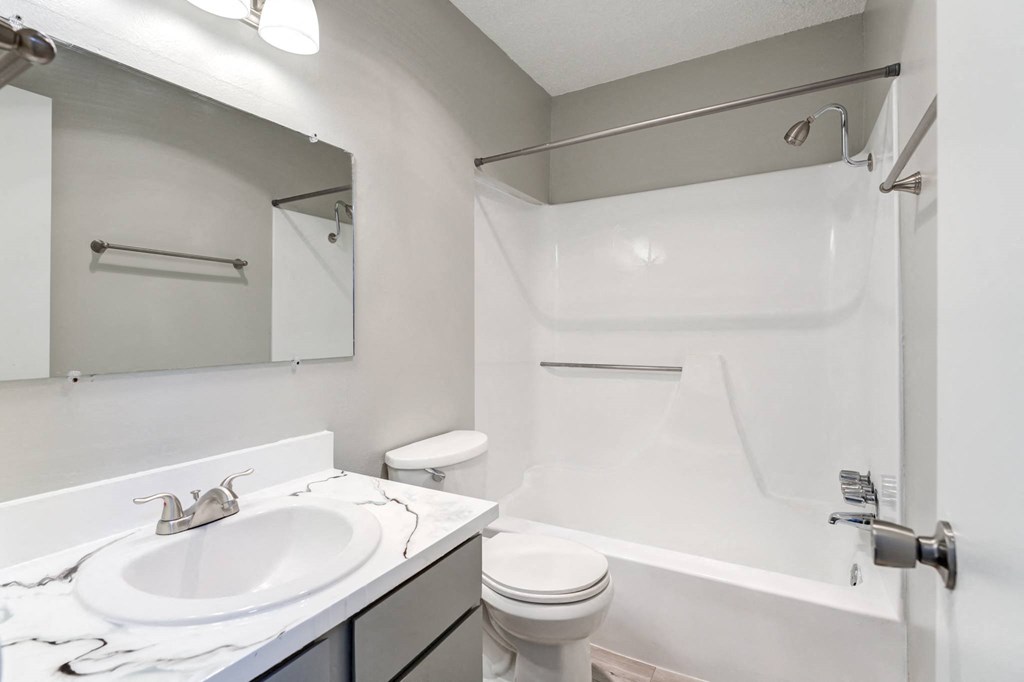 a bathroom with a sink and a toilet and a shower