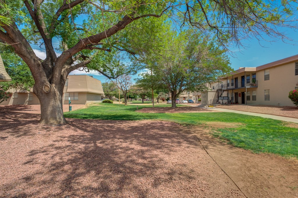 our apartments have a spacious courtyard with trees and grass