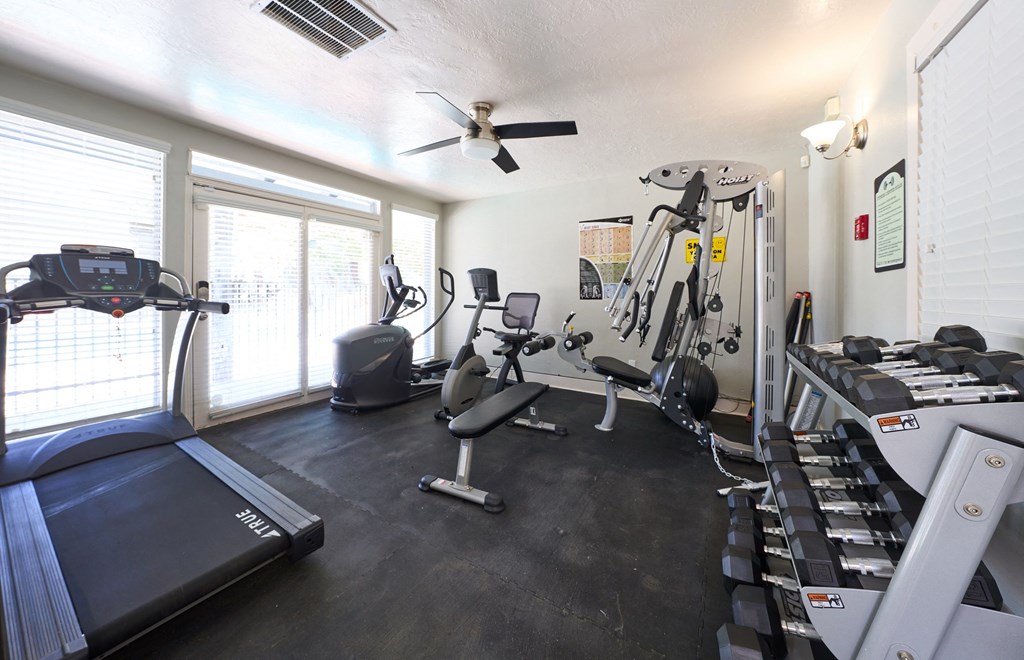 the gym is equipped with cardio equipment and weights