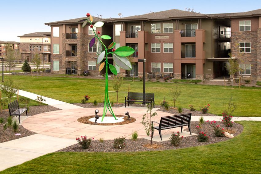 Beautiful Open Areas and Park at Arbour Commons, Westminster, CO - Photo Gallery 1