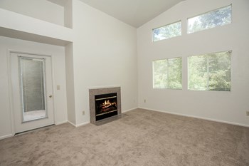 Autumn Oaks Vacant Living Room & Fireplace - Photo Gallery 24