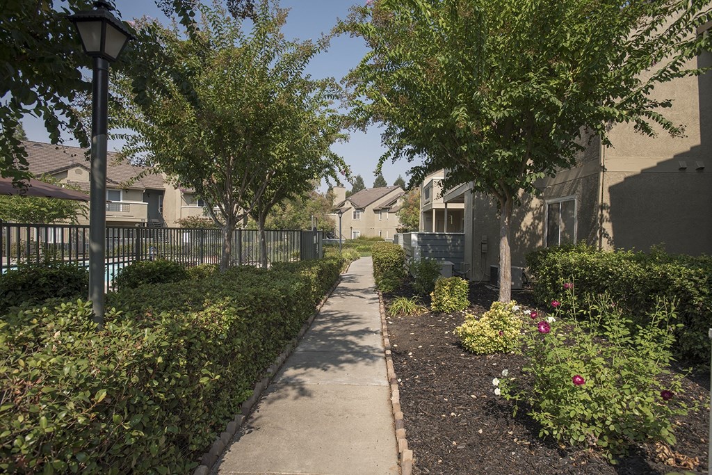 Canterbury Downs Community Walking Path